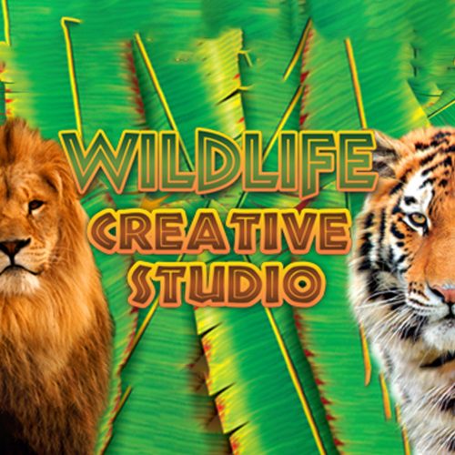 Wildlife Creative Studio (1 Gerät / Lifetime) (Steam)