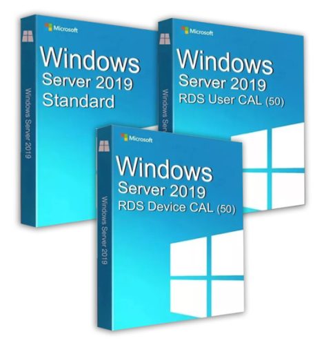 Microsoft Windows Server 2019 Standard (2 Benutzer) + 2019 RDS User CAL (50 Benutzer) + 2019 RDS Device CAL (50 Geräte) Business 19
