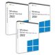Microsoft Windows Server 2022 Standard (2 Benutzer) + 2022 RDS User CAL (50 Benutzer) + 2022 RDS Device CAL (50 Geräte) Business 22